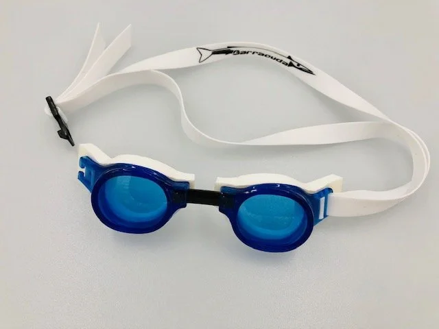 Medalist Goggle — Barracuda / Skyline Northwest